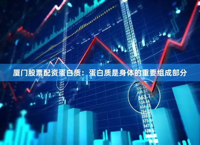 厦门股票配资蛋白质：蛋白质是身体的重要组成部分
