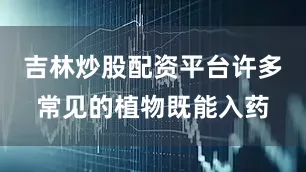 吉林炒股配资平台许多常见的植物既能入药