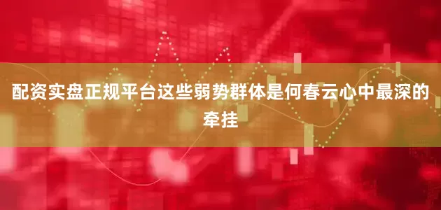 配资实盘正规平台这些弱势群体是何春云心中最深的牵挂