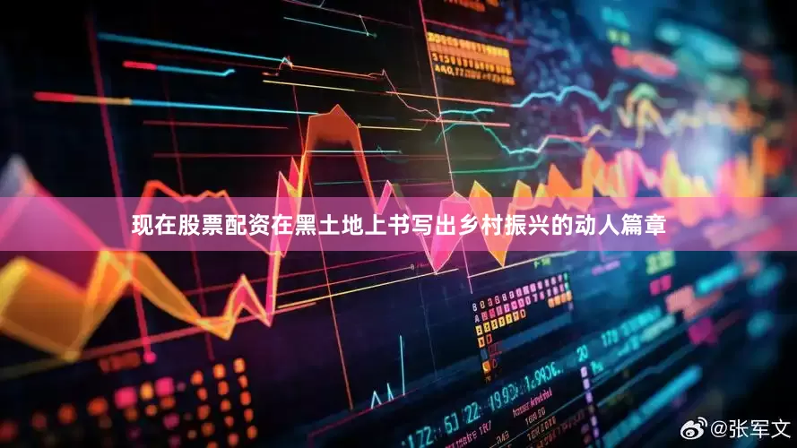 现在股票配资在黑土地上书写出乡村振兴的动人篇章