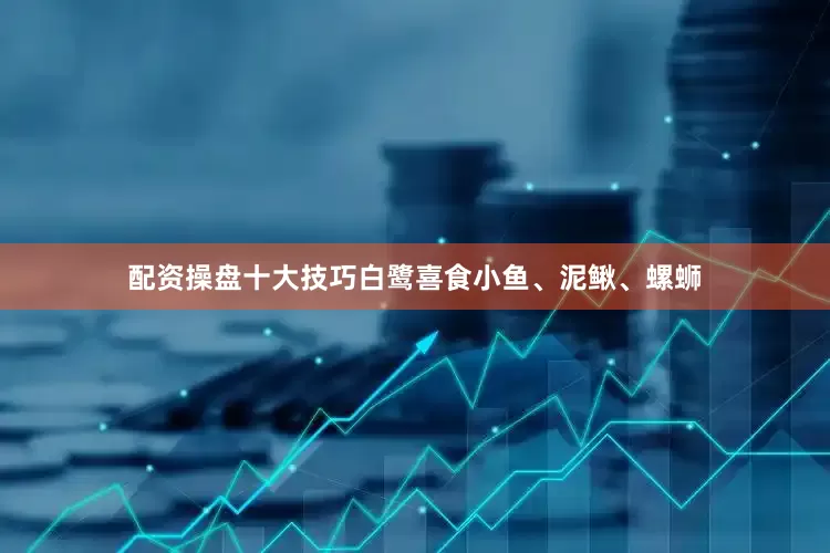 配资操盘十大技巧白鹭喜食小鱼、泥鳅、螺蛳